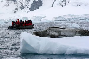 Paradise Bay, Lemaire Channel, Antarctica 518.jpg
